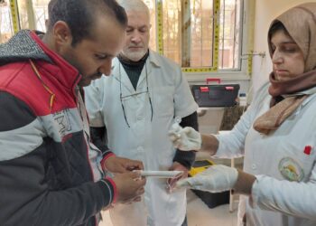 التلقيح الاصطناعي