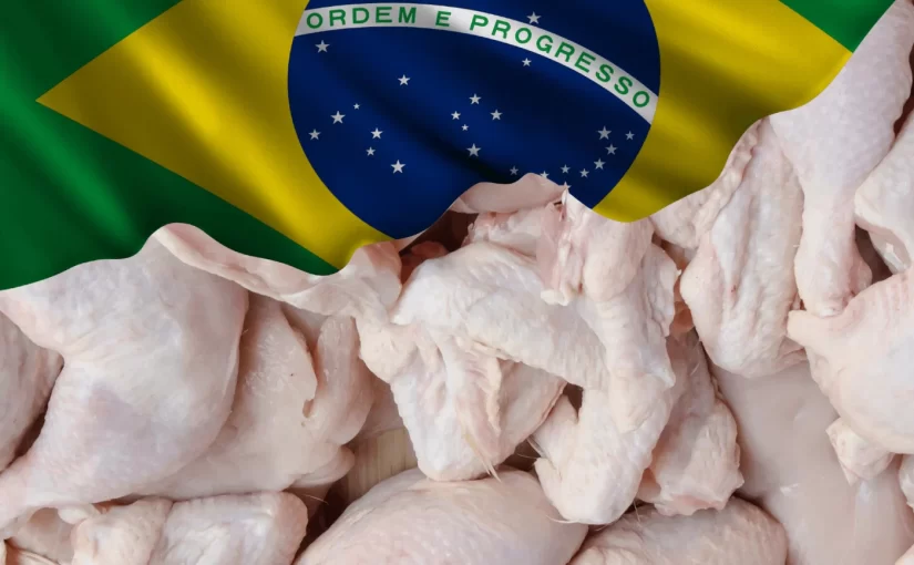 الدواجن البرازيلية