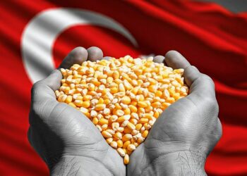 الذرة