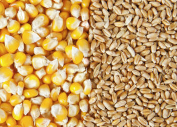 الرسوم الجمركية