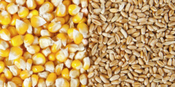 الرسوم الجمركية