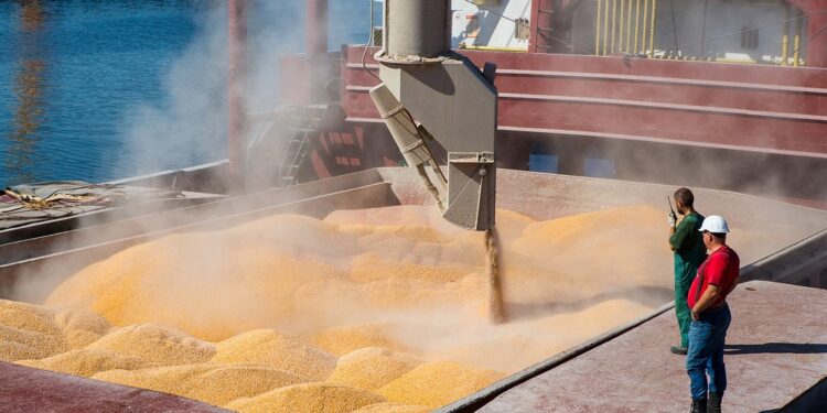 الرسوم الجمركية