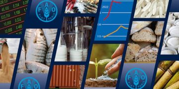 الفاو: مؤشر أسعار الحبوب