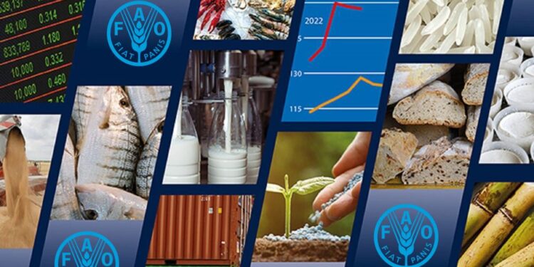الفاو: مؤشر أسعار الحبوب