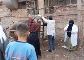 القوافل البيطرية