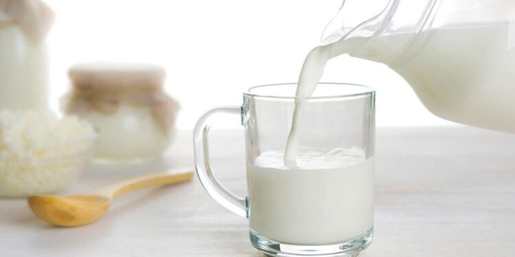 منتجات الألبان