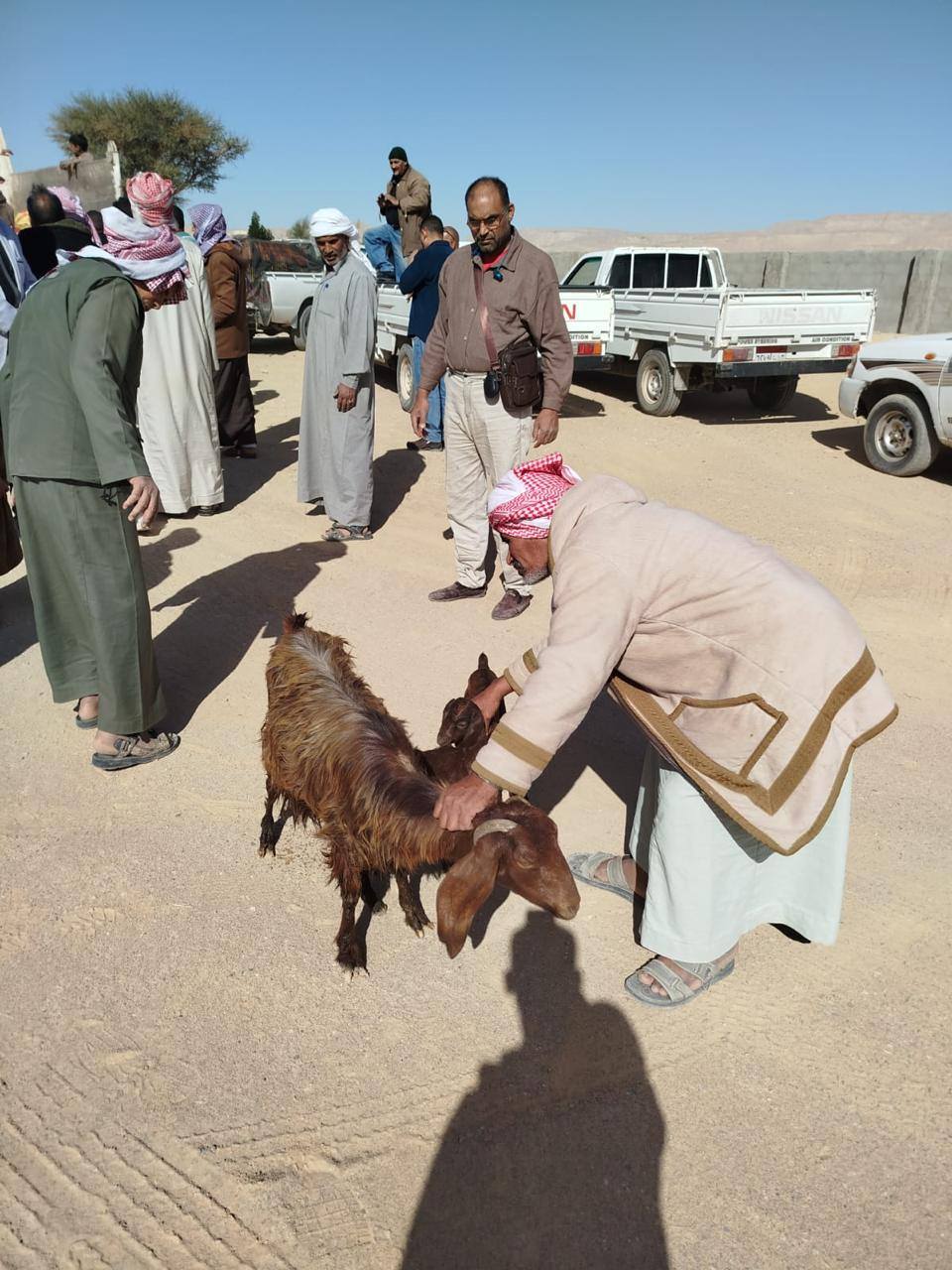 بحوث الصحراء