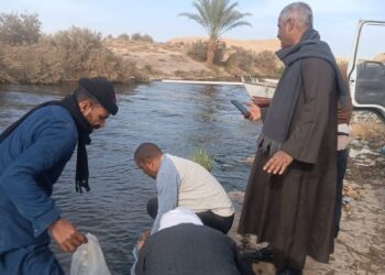 زريعة الطوبارة