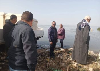 زريعة طوبار