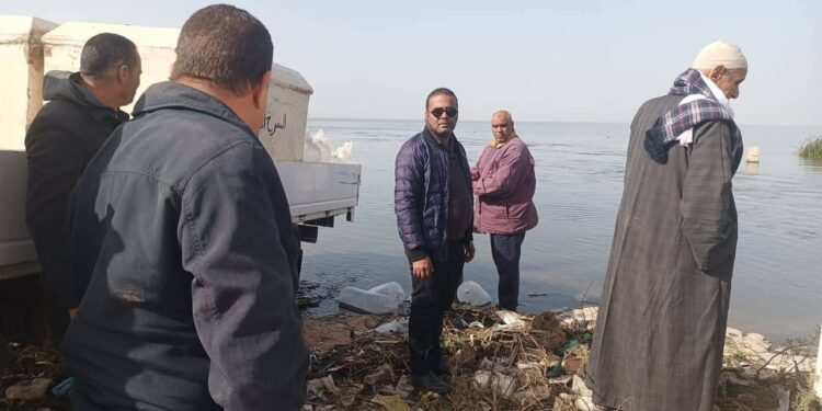 زريعة طوبار