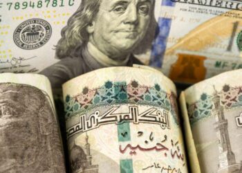 سعر الدولار