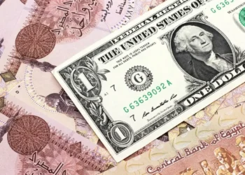 سعر الدولار