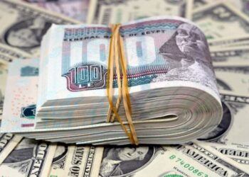 سعر الدولار