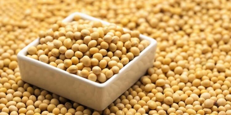 فول الصويا