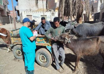 قوافل بيطرية