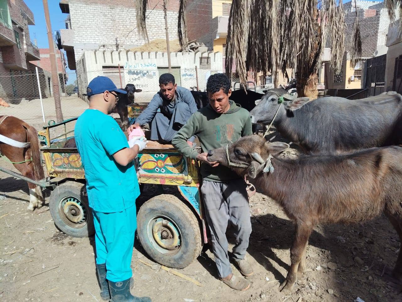 قوافل بيطرية