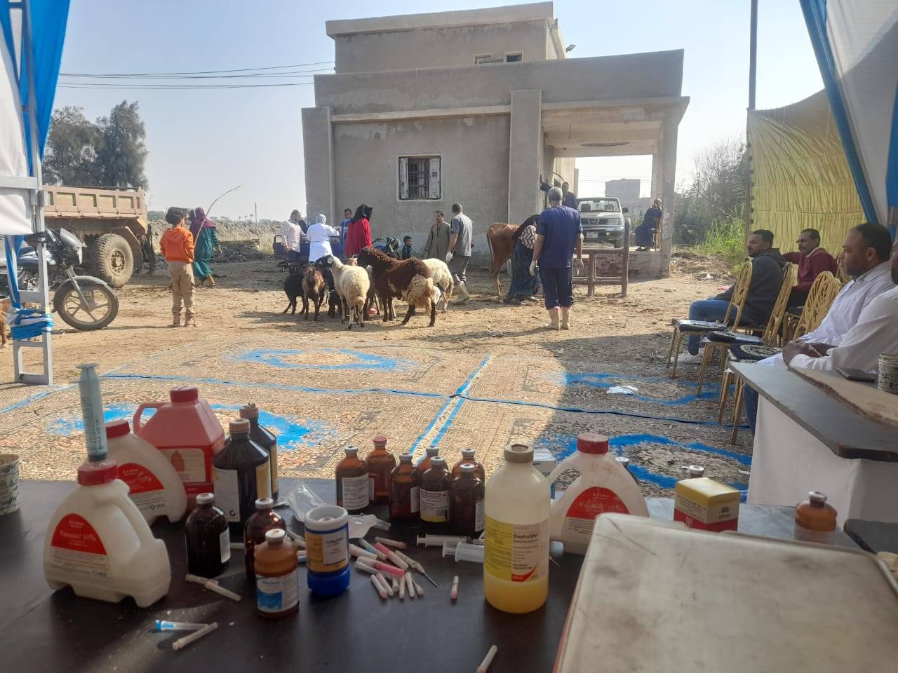 قوافل بيطرية