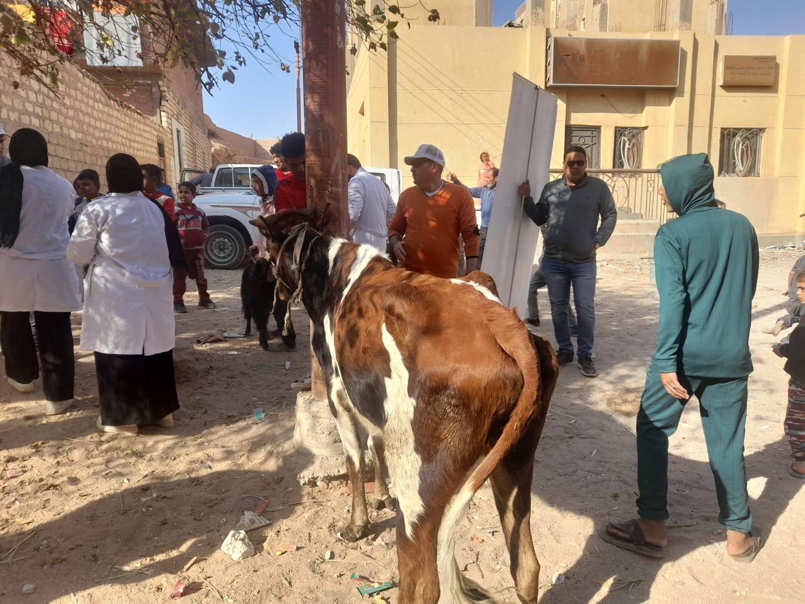 قوافل بيطرية