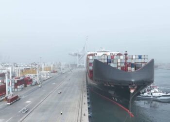 ميناء دمياط يستقبل 7000 طن كسب صويا و 1325 طن كسب عباد