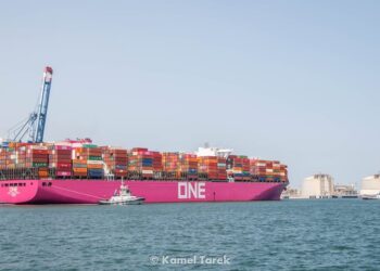 ميناء دمياط يستقبل 7000 طن كسب صويا و 3634 طن كسب عباد