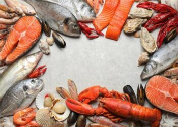 أسعار السمك