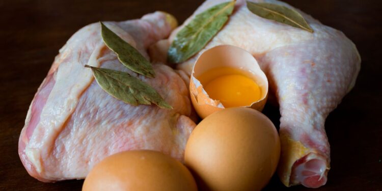 الدواجن والبيض