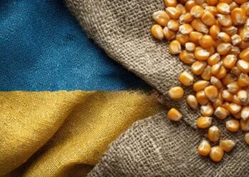 صادرات الحبوب الأوكرانية