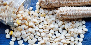 إنتاج الذرة