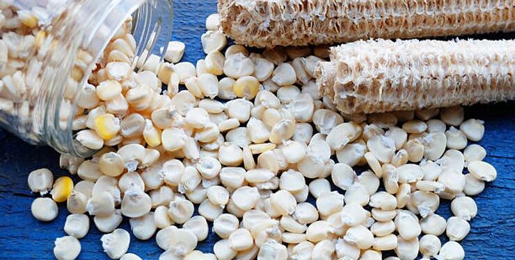 إنتاج الذرة