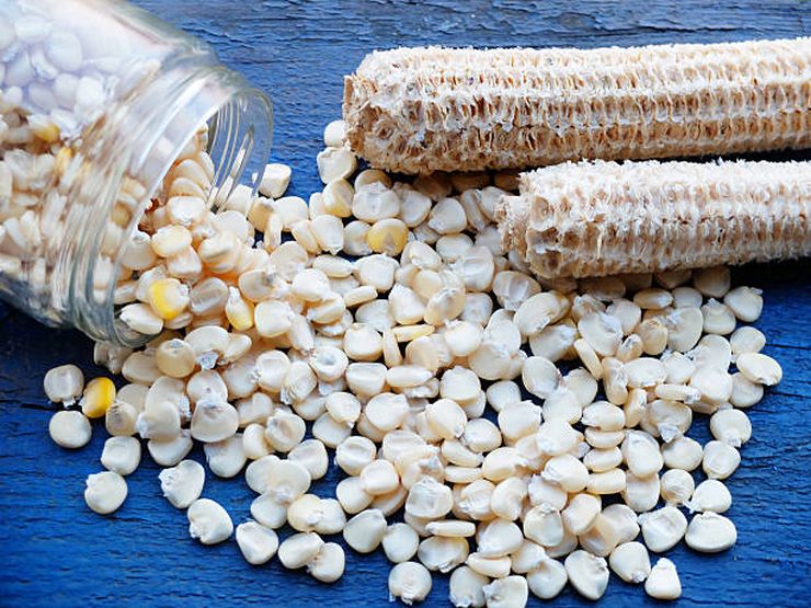 إنتاج الذرة