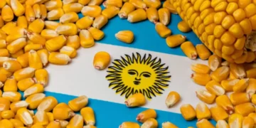 الحبوب الأرجنتينية