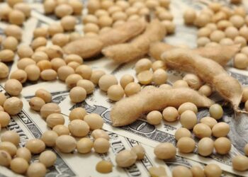 العقود الآجلة للصويا