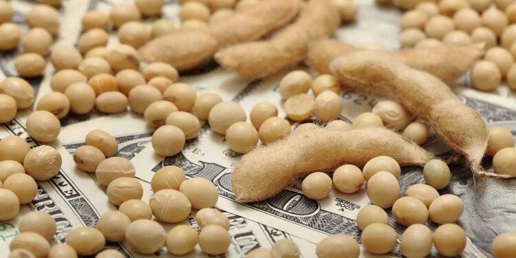 العقود الآجلة للصويا