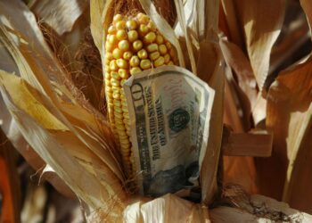 العقود الآجلة للذرة