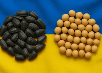 الصويا الأوكراني