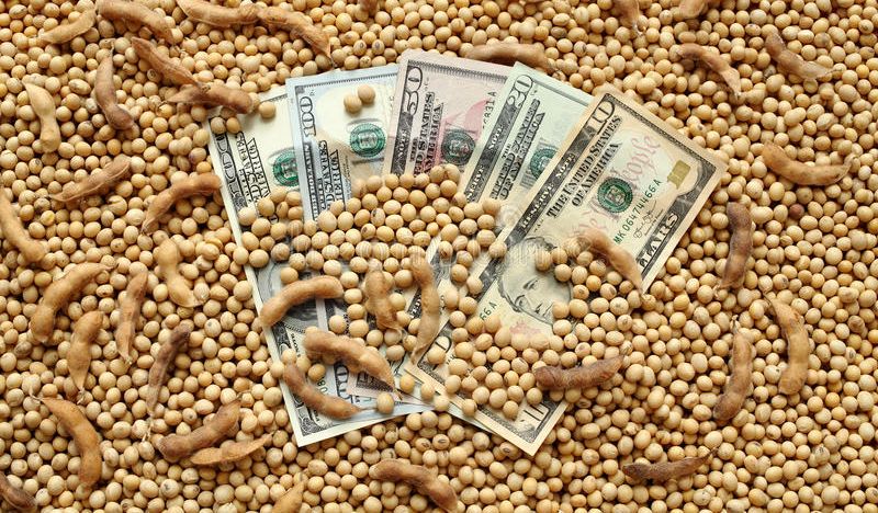 أسعار فول الصويا