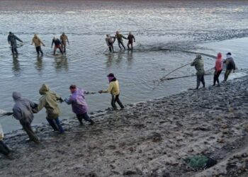 مزرعة المنزلة السمكية