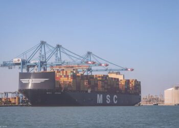 ميناء دمياط يستقبل 6441 طن ذرة ويُصدر 2009 طن كسب صويا