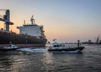 ميناء دمياط يستقبل 749 طن قمح خلال 24 ساعة