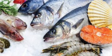 أسعار السمك