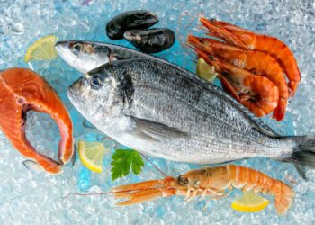 أسعار السمك