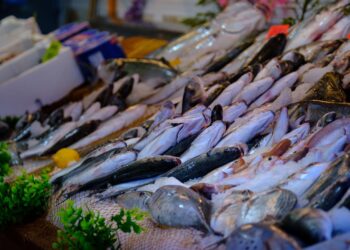أسعار السمك