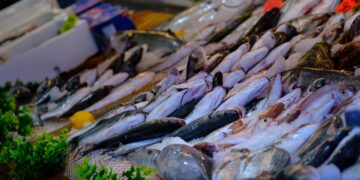 أسعار السمك