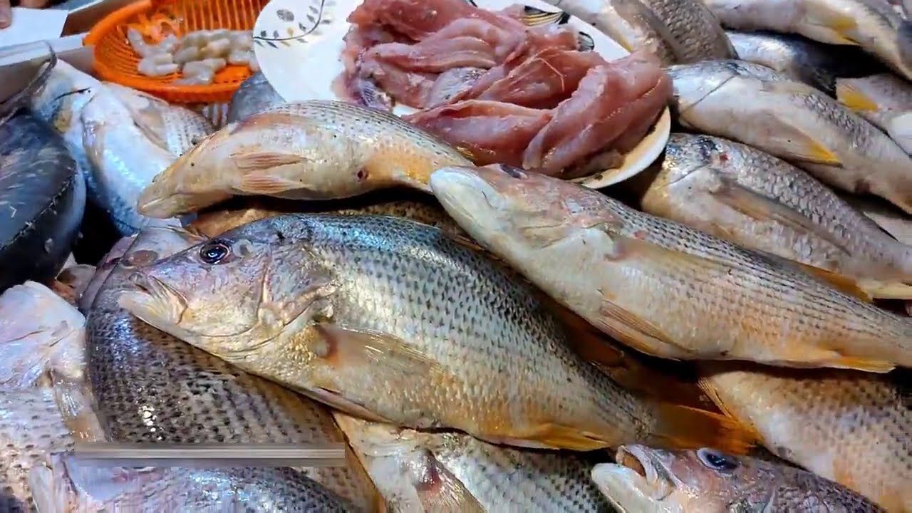 أسعار السمك