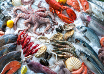 أسعار السمك