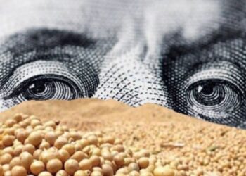 أسعار فول الصويا