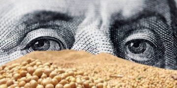 أسعار فول الصويا