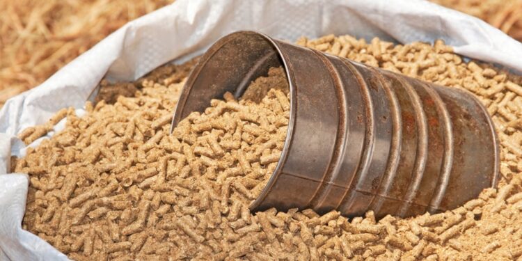 إنتاج الأعلاف