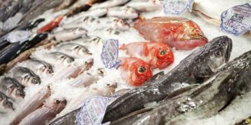 أسعار السمك