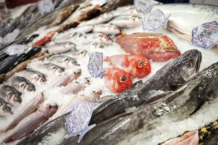 أسعار السمك